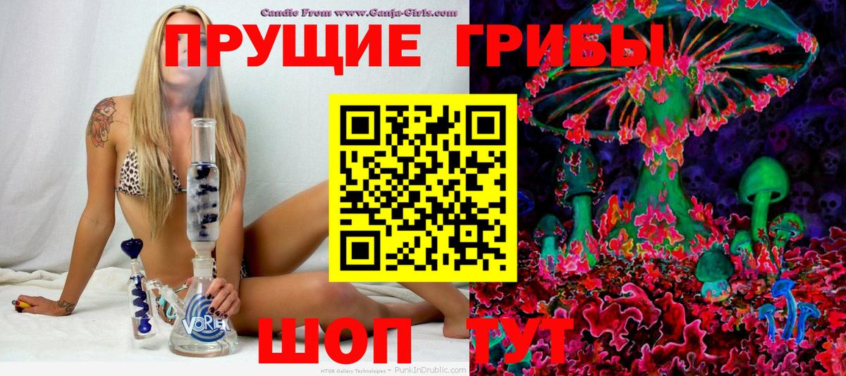 Галлюциногенные грибы прущие грибы  Вход с VPN  Котлас 